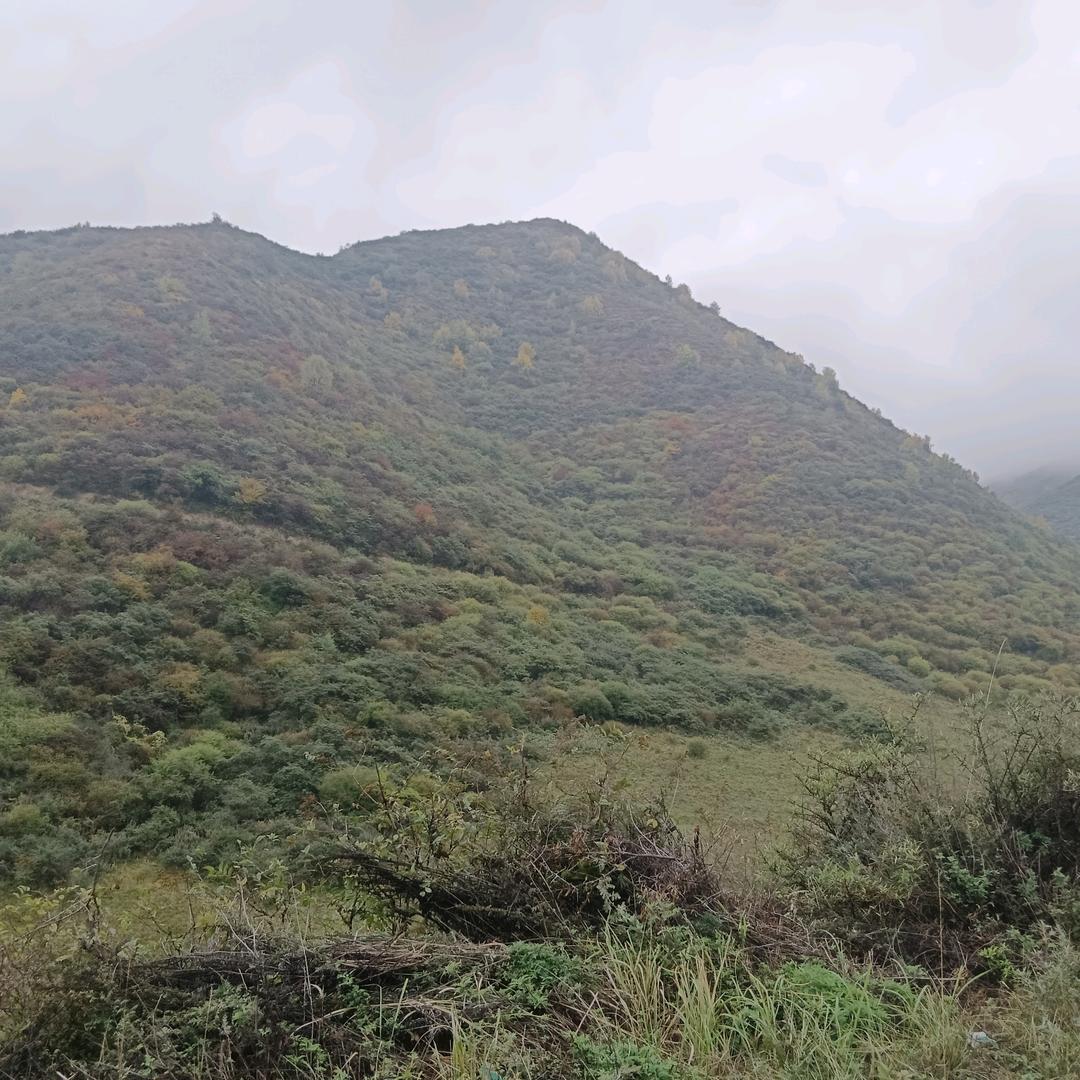 胡搅蛮缠（你哥）