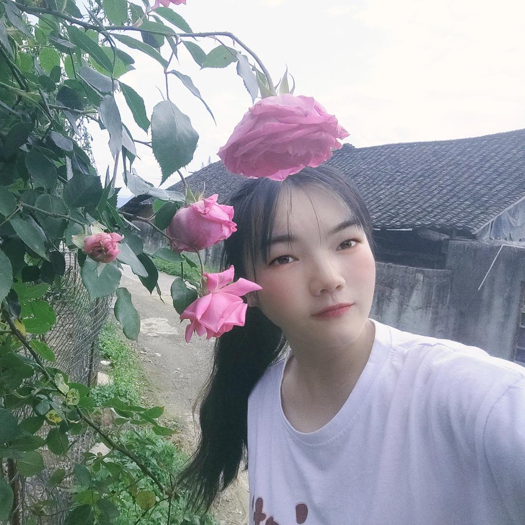 谷谷好物