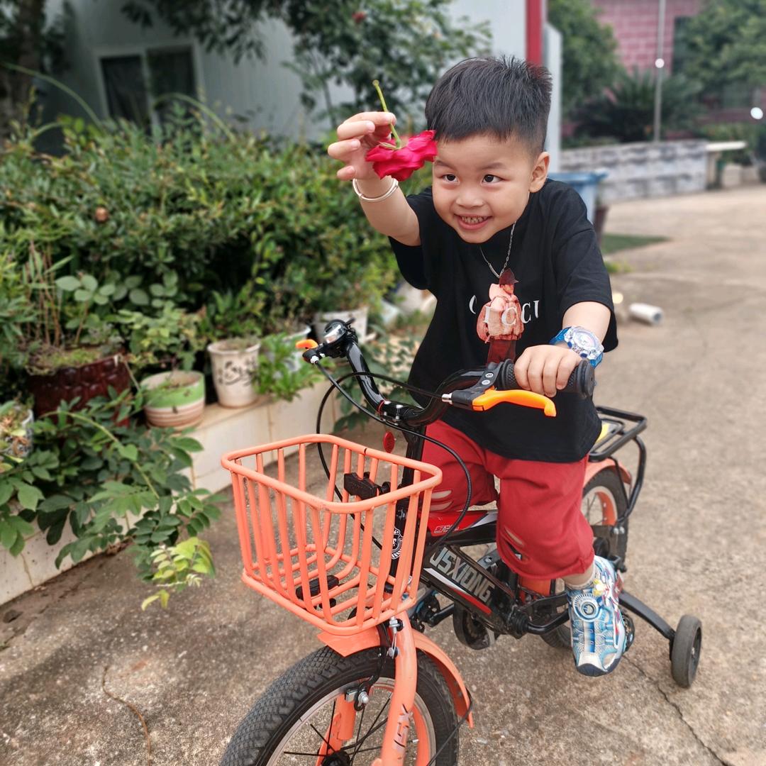 臻可爱
