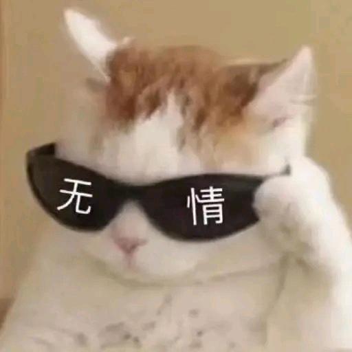 不知名用户
