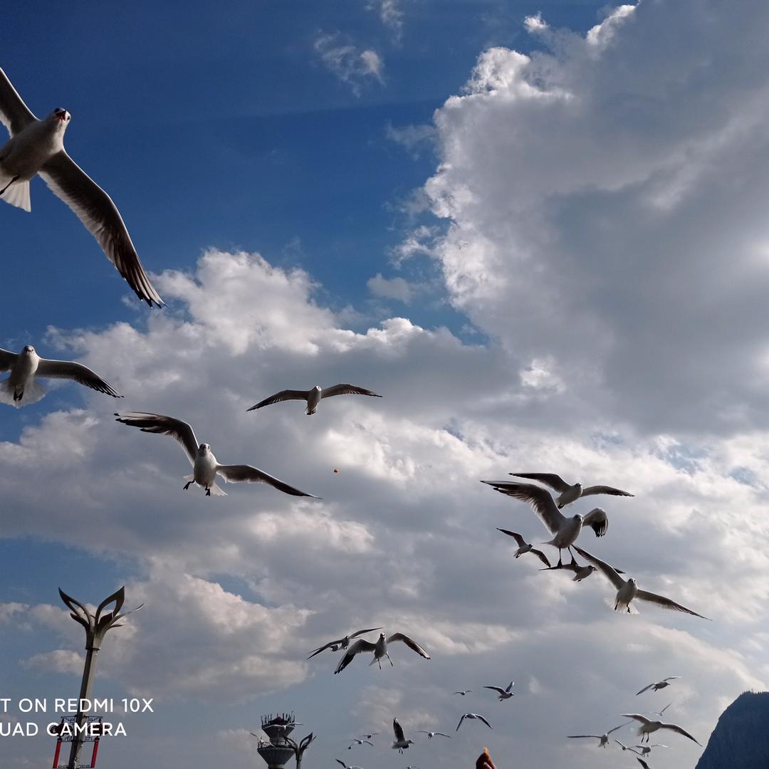 海陆空