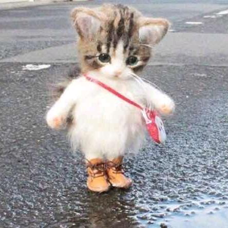 既然青春留不住，