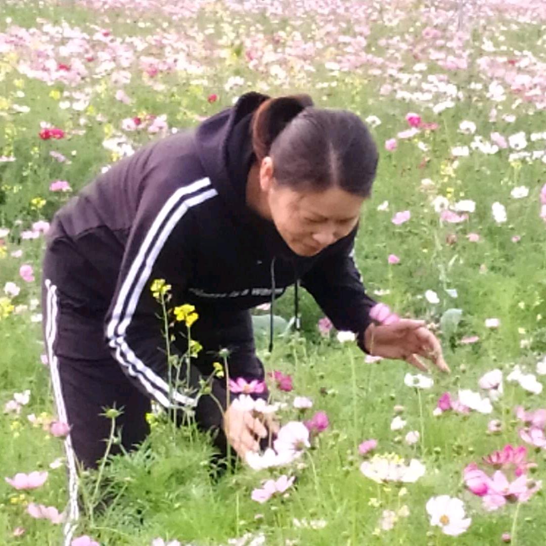 🌈平淡是真