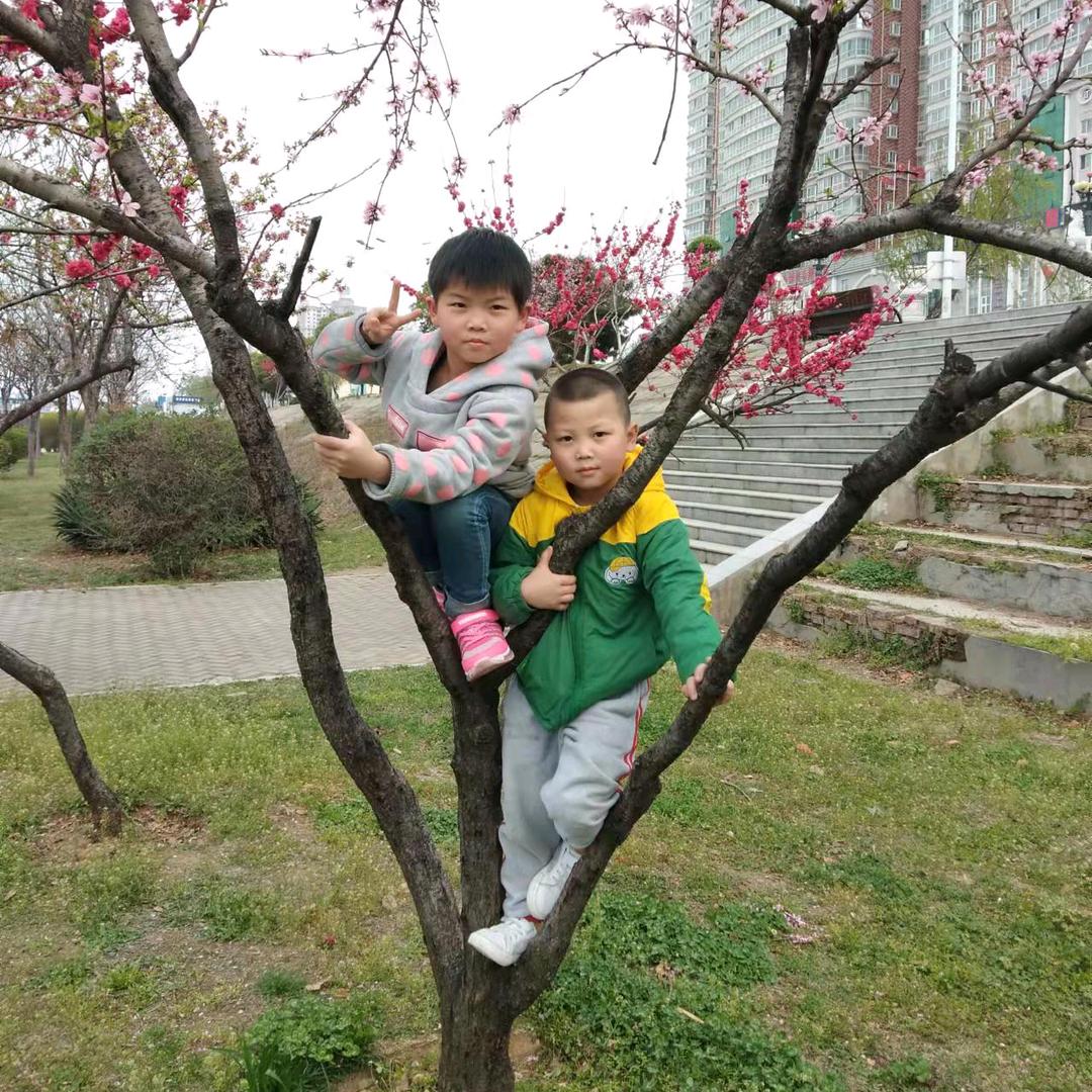 @孤芳自赏