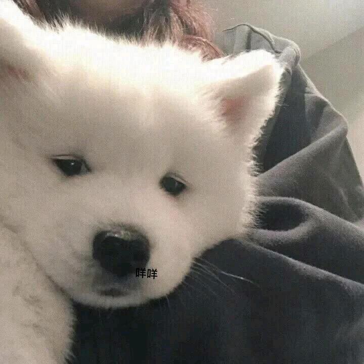 🌈世界上没有迪迦