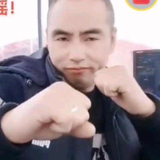 西佰丽亚狼