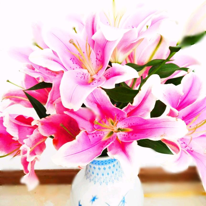 花语