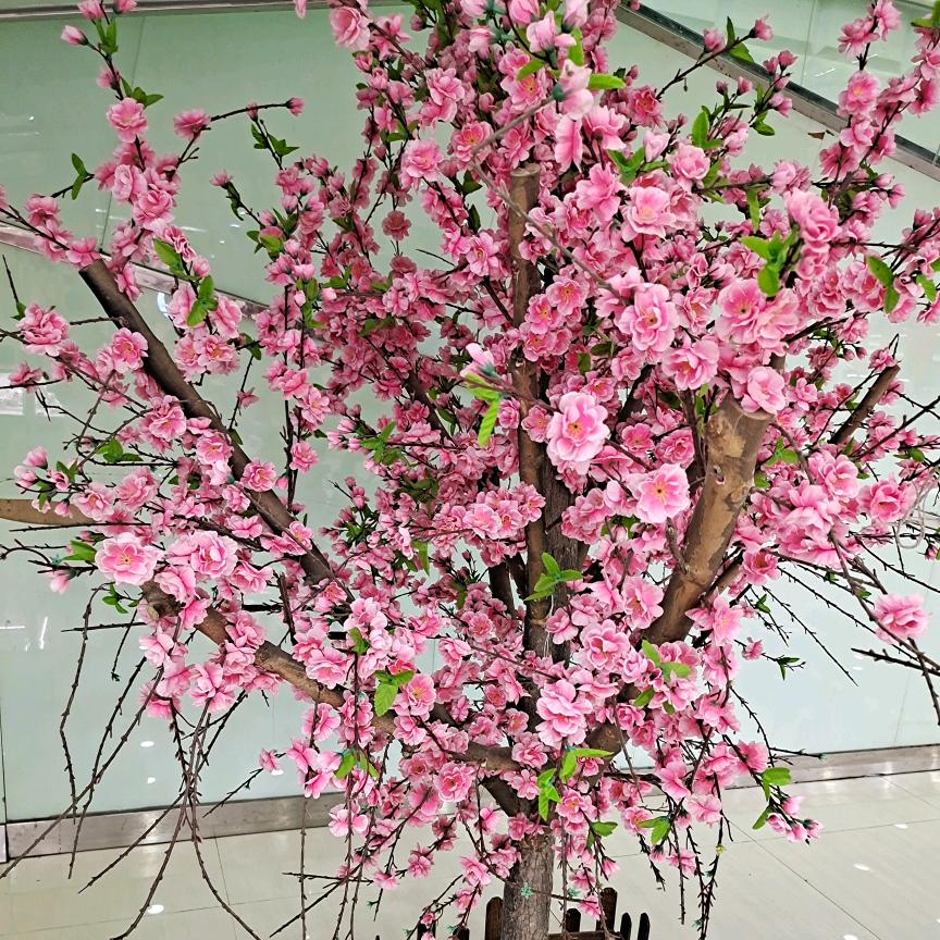 雪花飘扬
