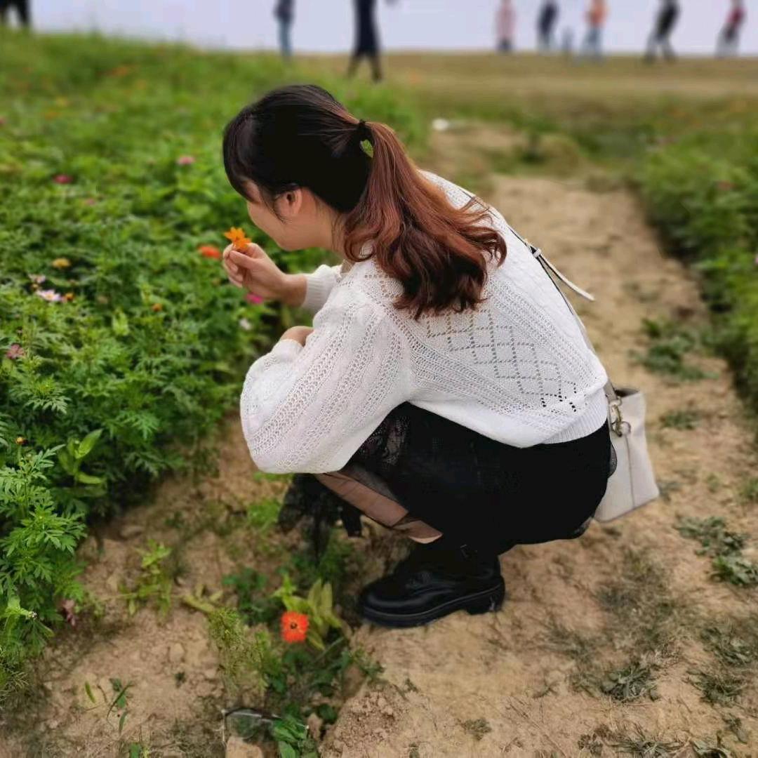 飘落的紫丁香