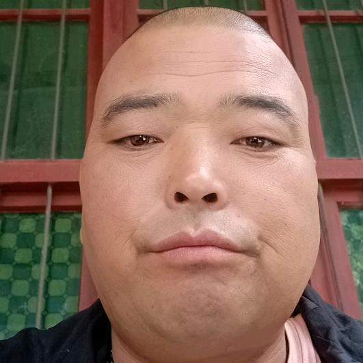太平贠哥