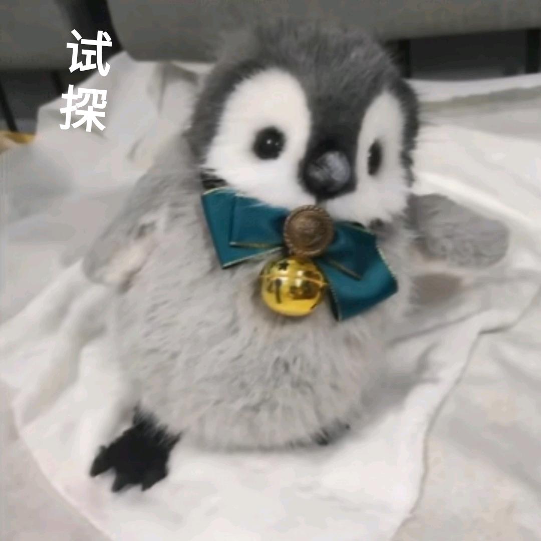 只是一杯土豆泥