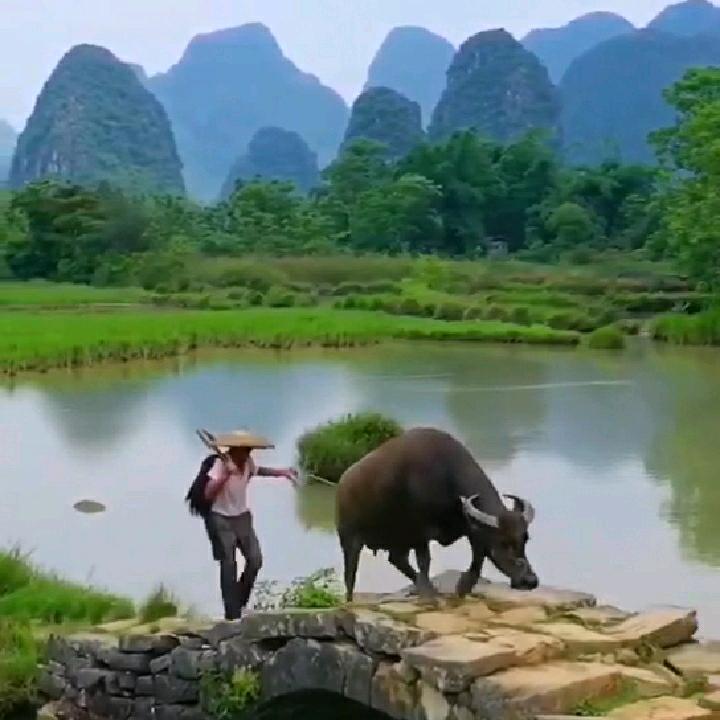 观山听水
