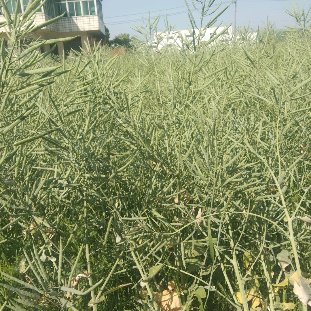 用户9925270093881