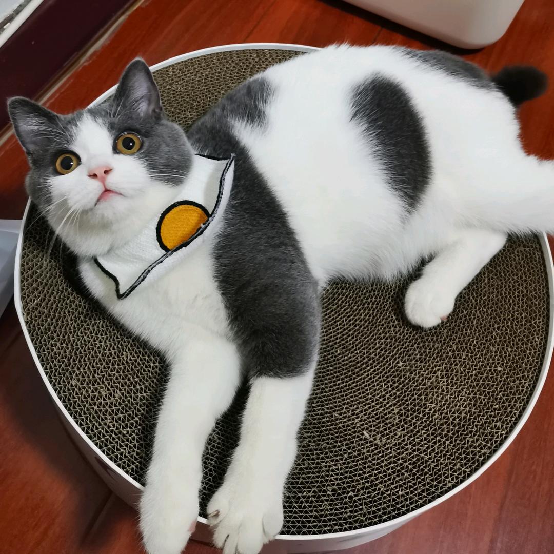 端午呀
