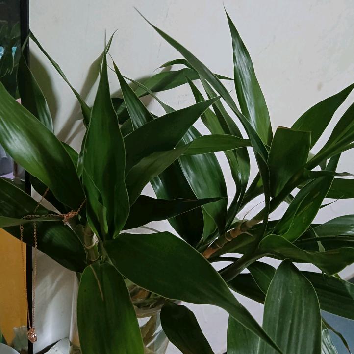 人生就是坎坎坷坷