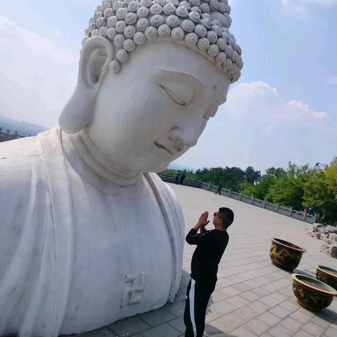 杨主任/