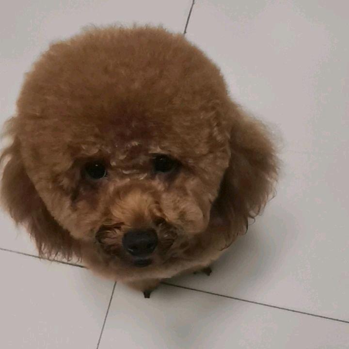 果冻喜之郎