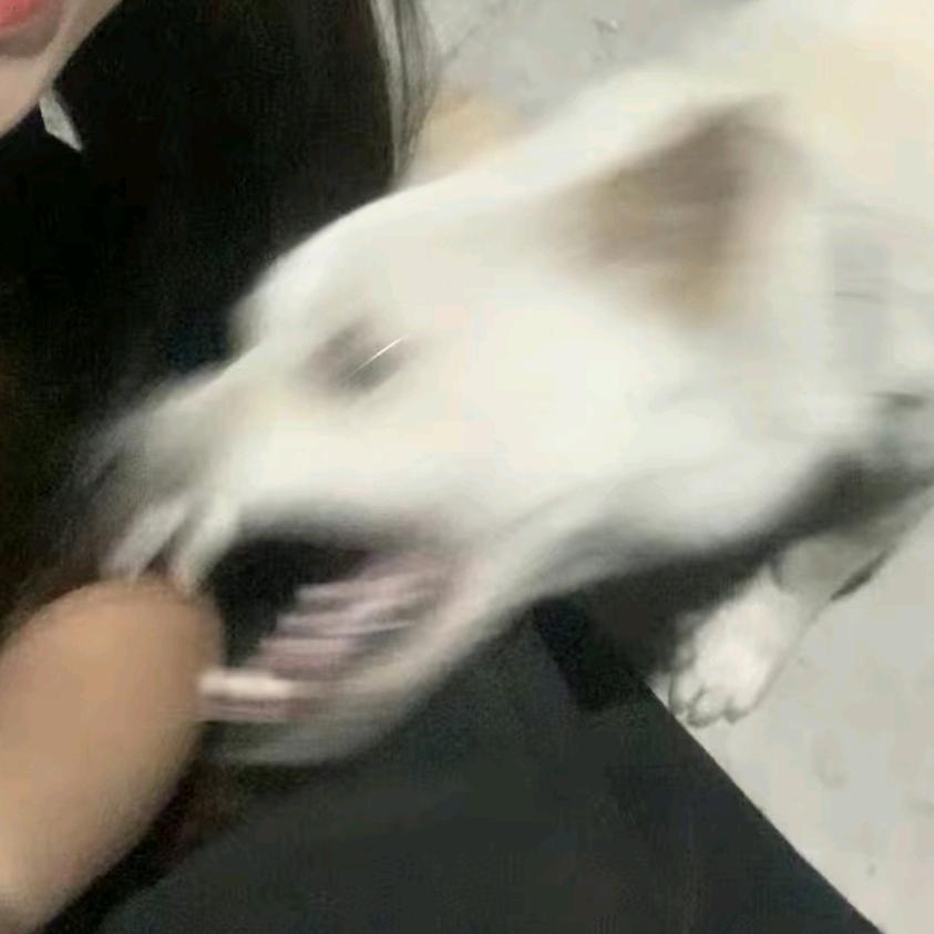 生吞小虎