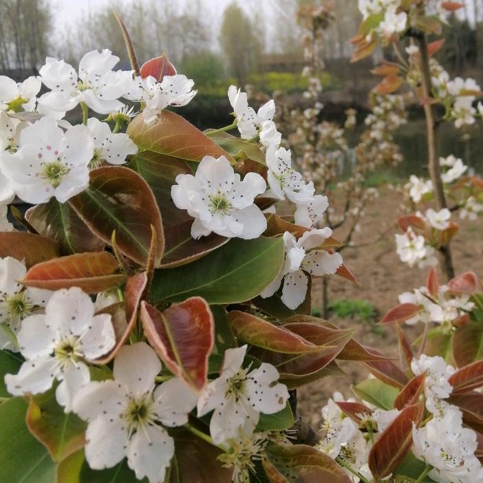 土特产✔村企联营