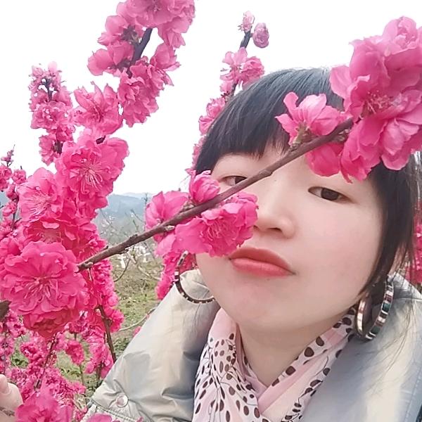 追梦少女刘玉苹