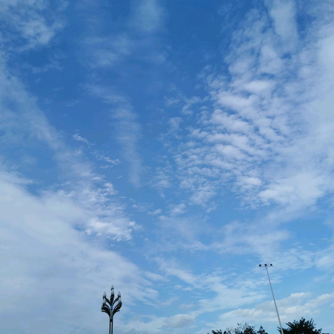 梦茹（圆圆）