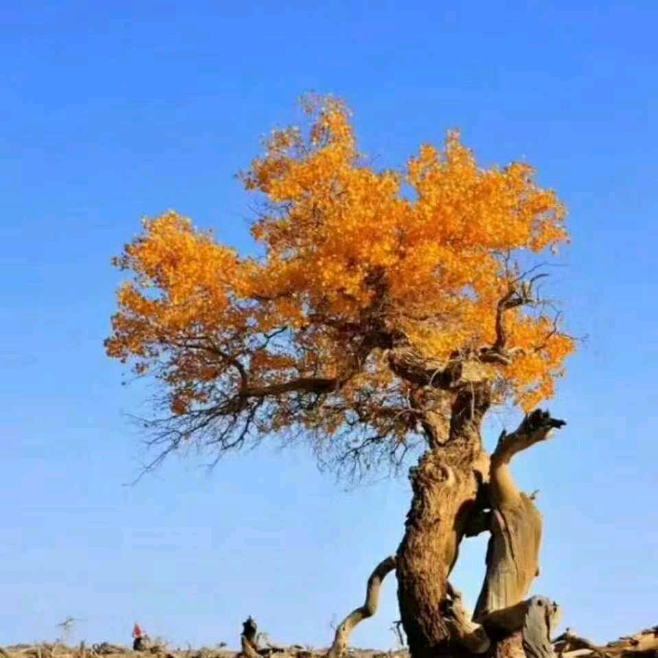 南康区安然优选百货商行的小店个体店