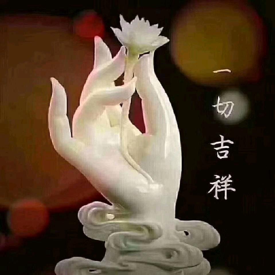 善缘丽姐