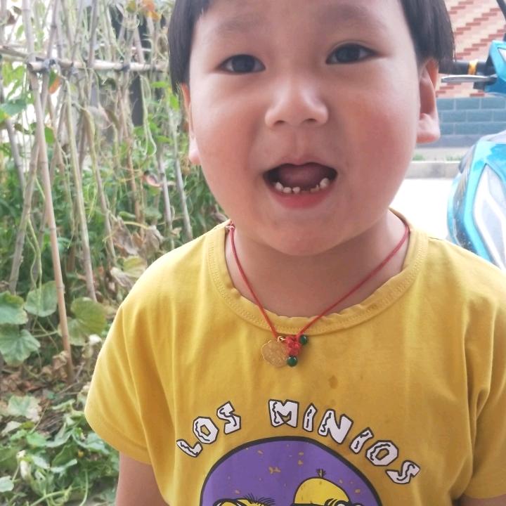小趴菜啊