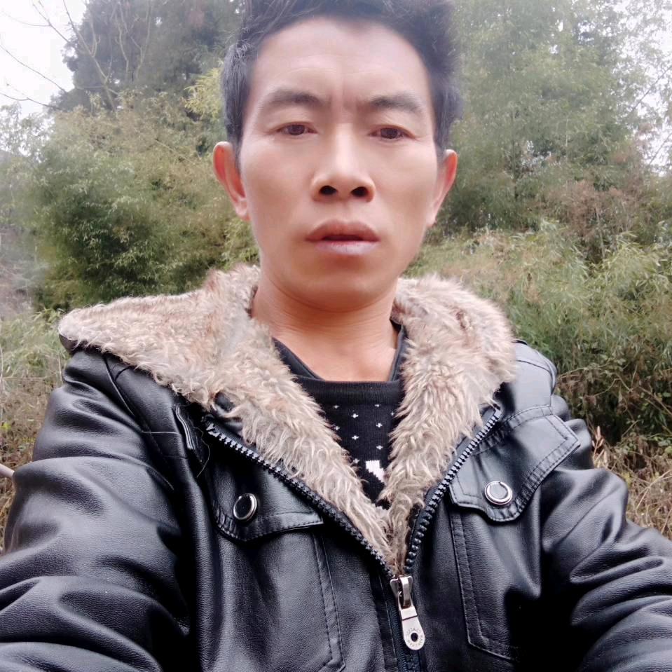 逍遥单身歌。