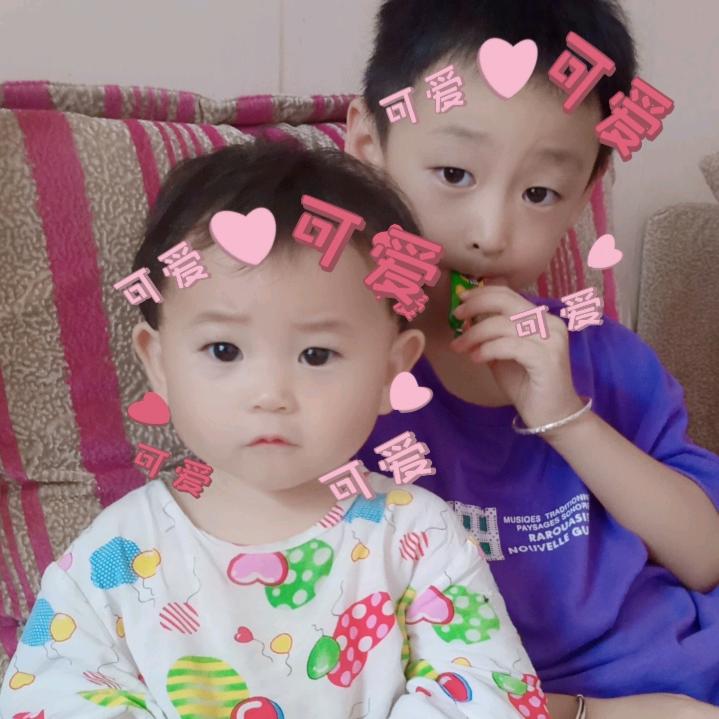 懒的起名 (手工馄饨水饺)