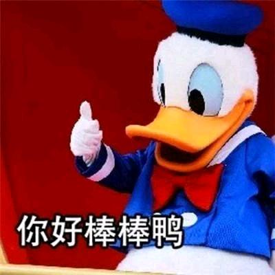 鸭鸭