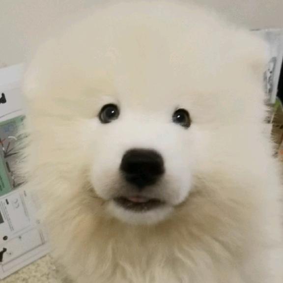 刘老六