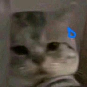 用户1465399029985
