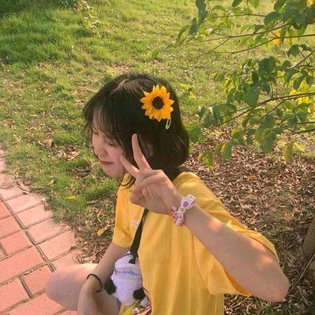 爱吃香菜🌿