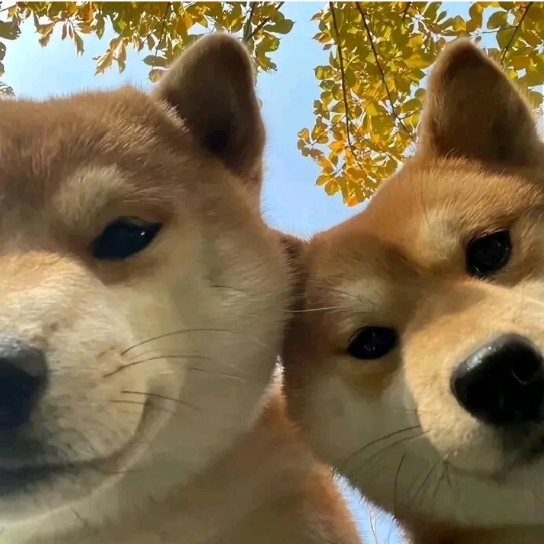 墨行娜