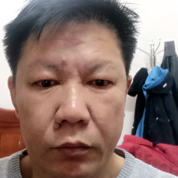 满目春风