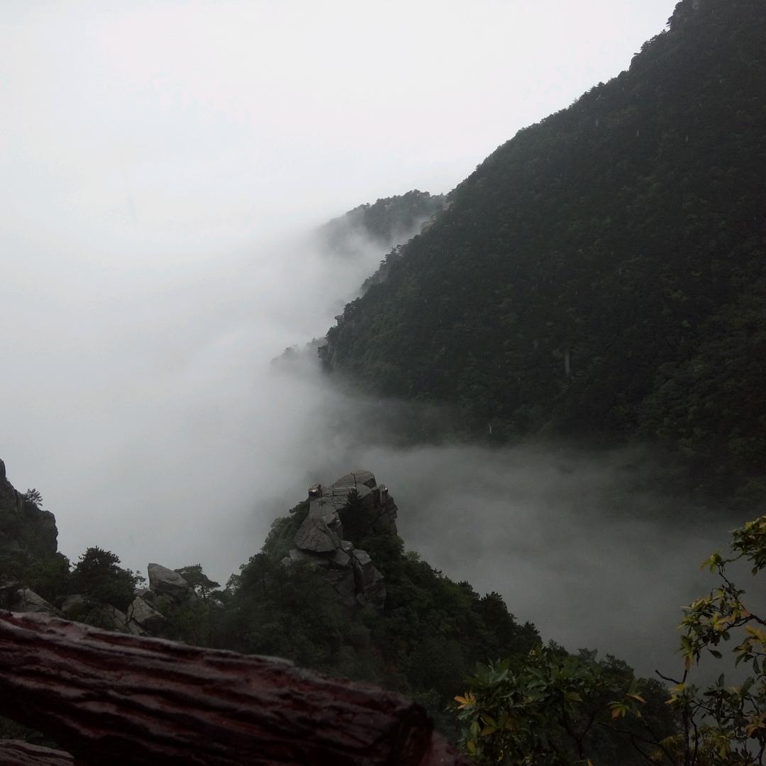 在   路上