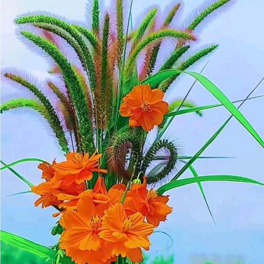 龙小宝