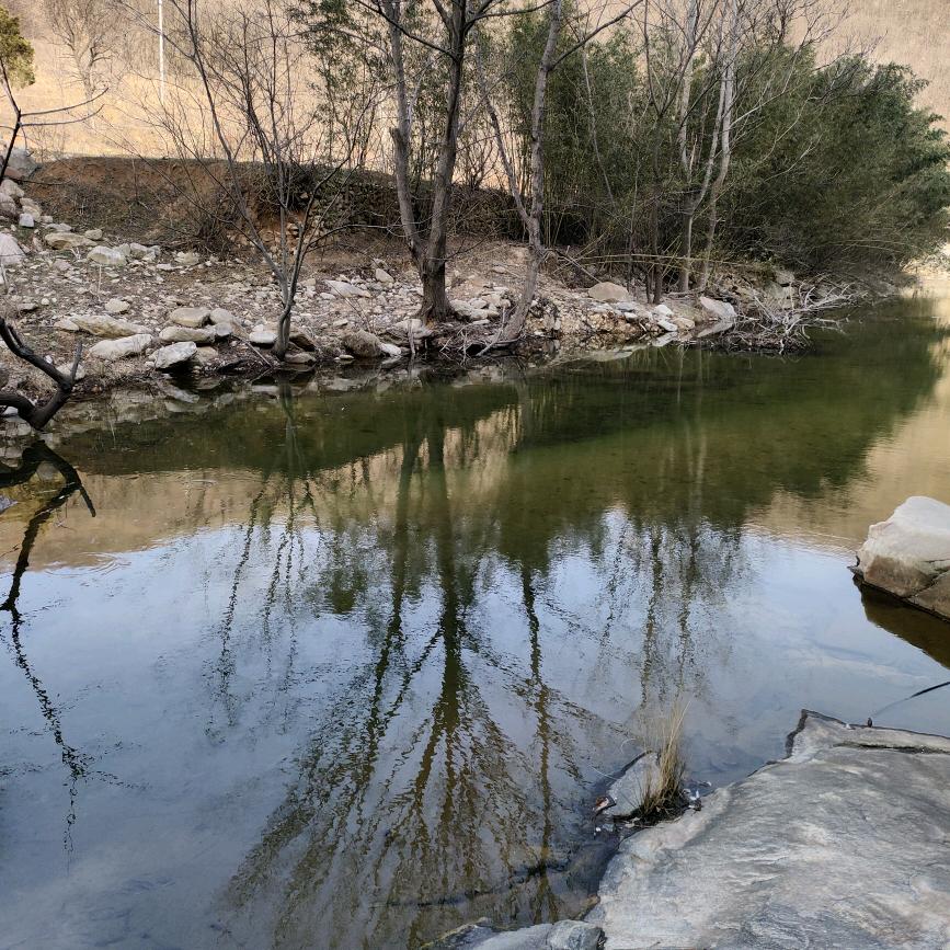 泌阳明义奶粉专卖
