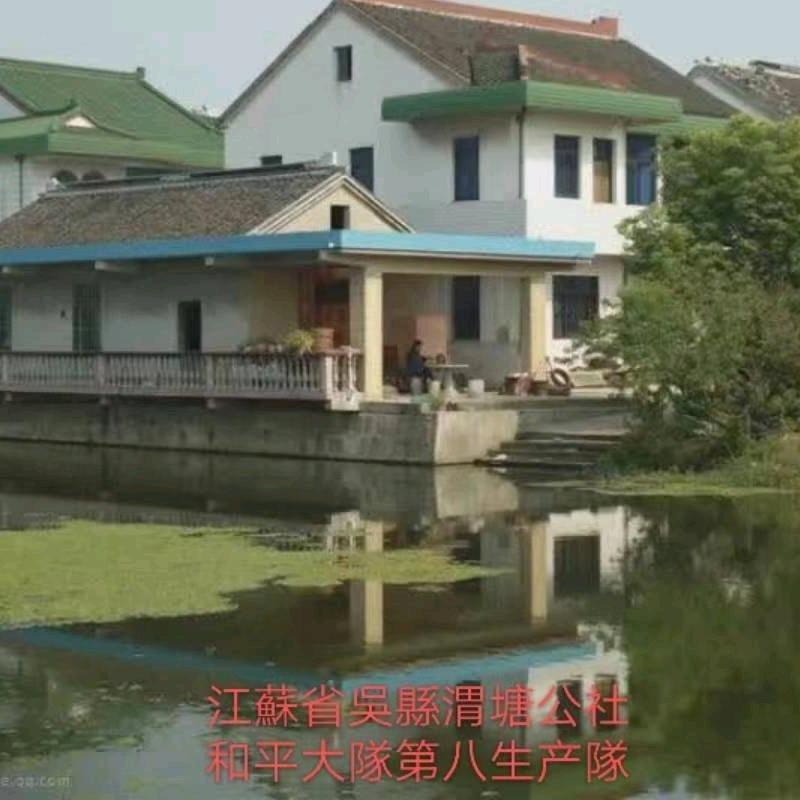 梦里桃花居🏮🏮无暇互动   点赞代评