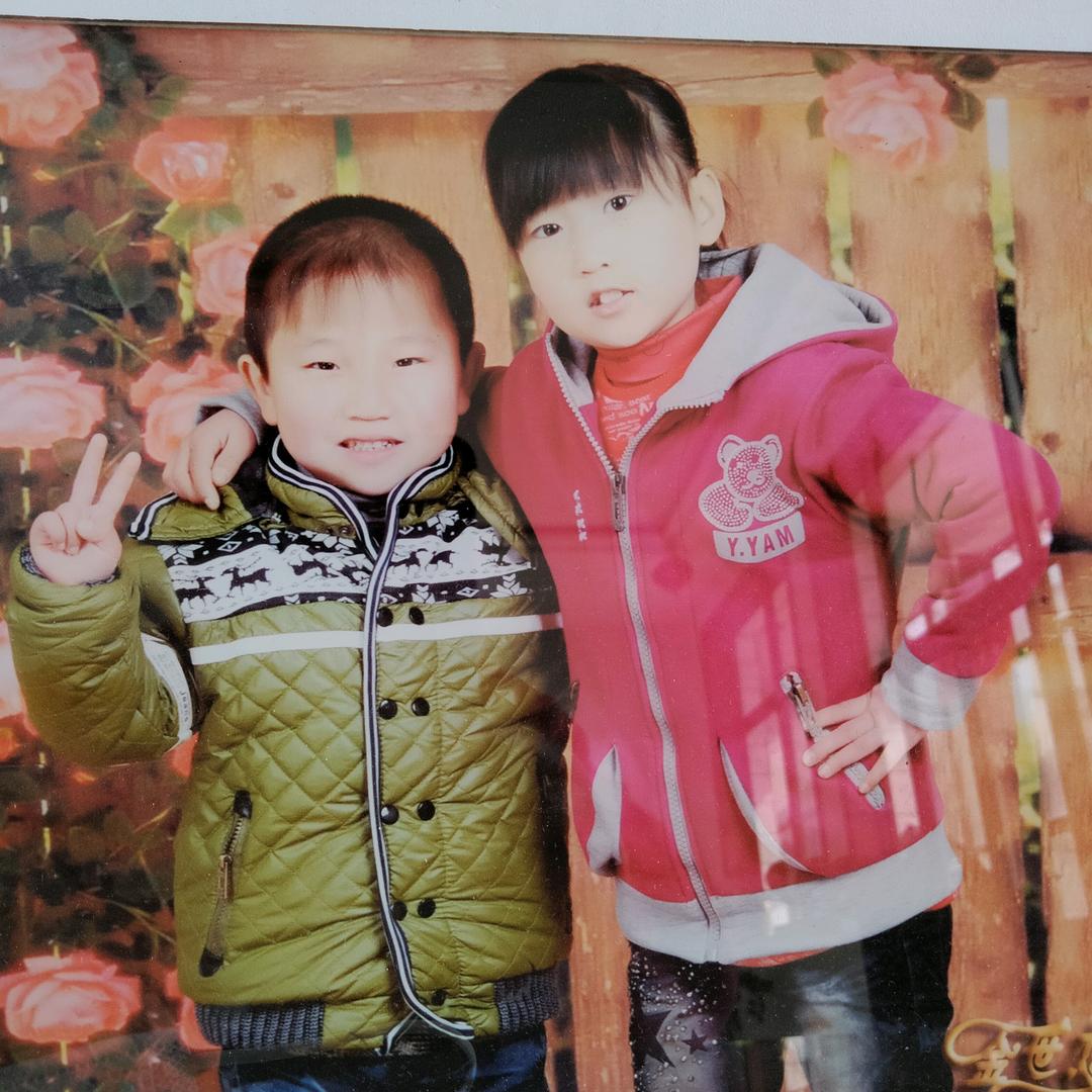 种棚人满菊