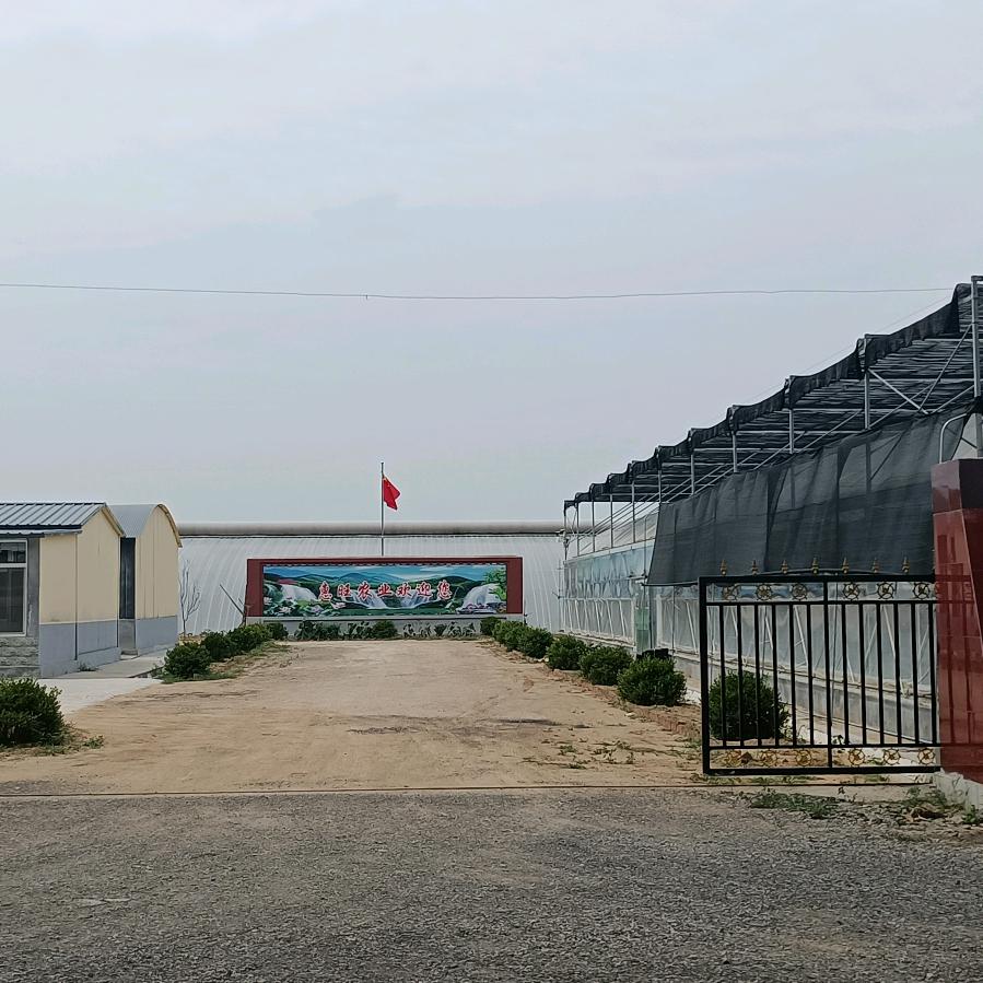山东惠旺农业发展有限公司 张庆春