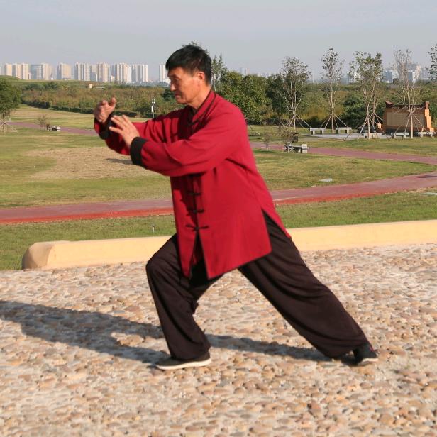 太极顺哥王炳顺