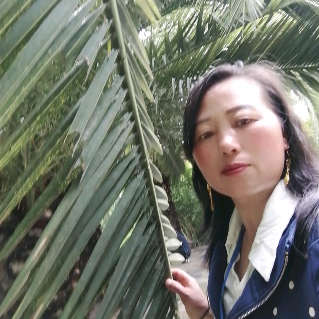 小陈