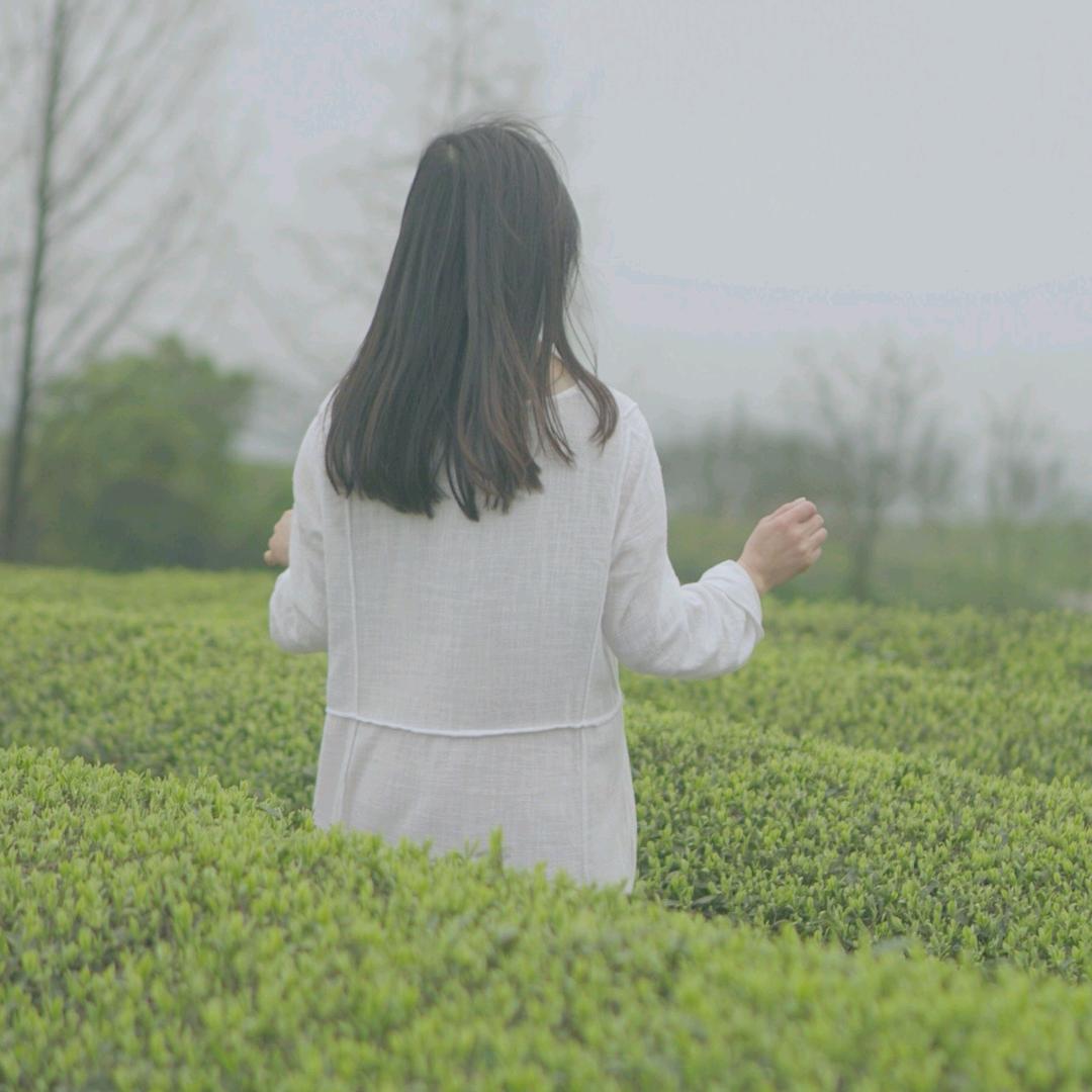 茶🍃叶伴人生