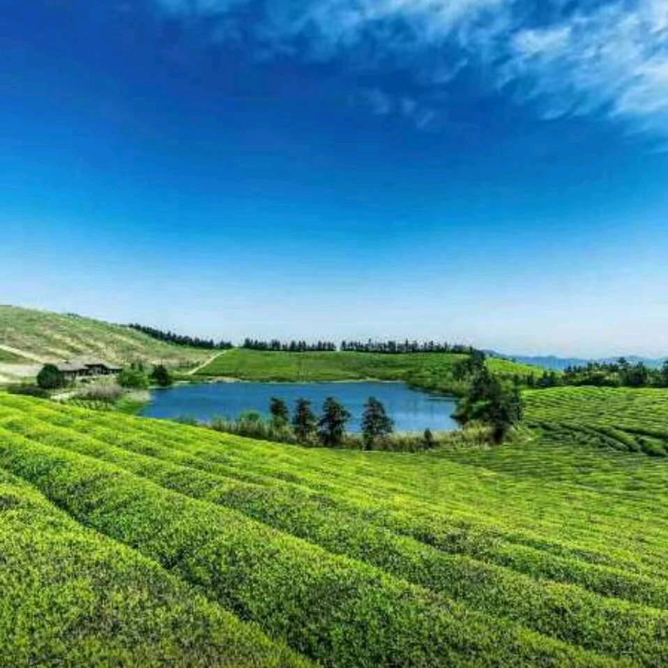 沂南00后小伙收羊