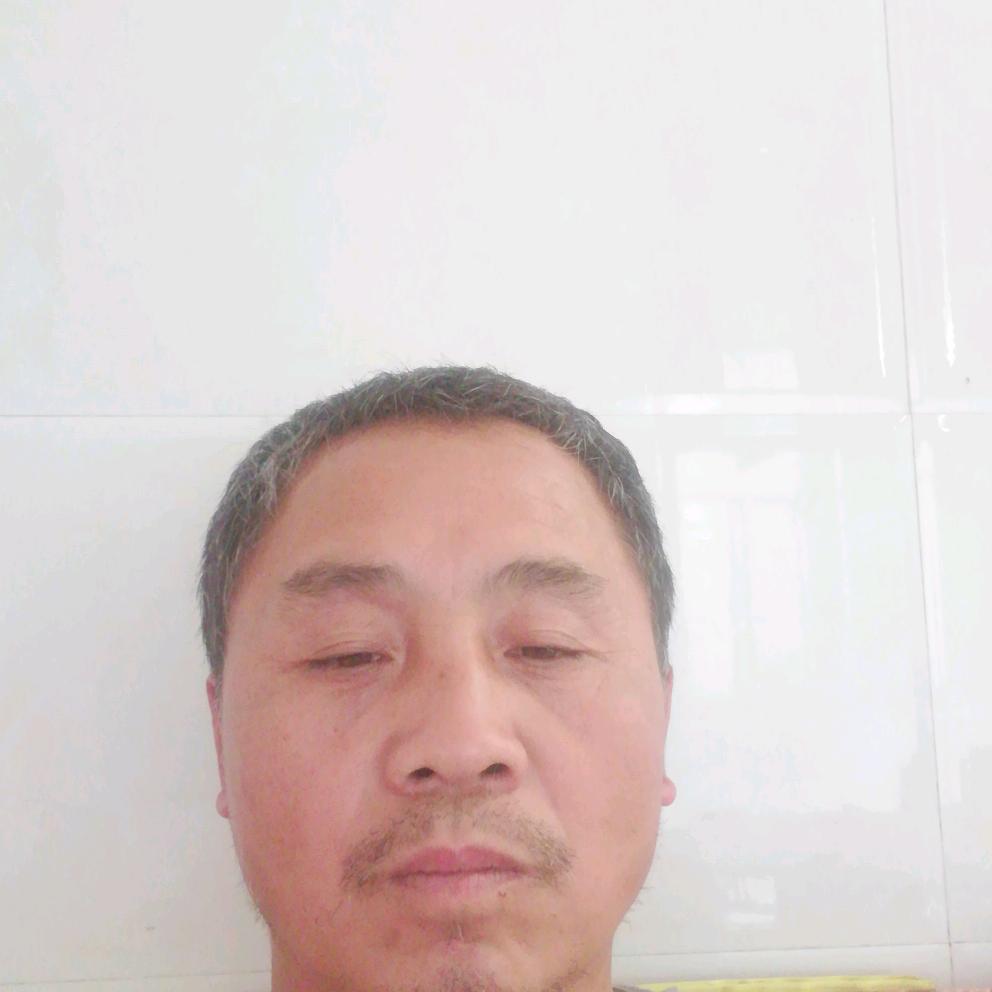 一树鲜花执个真心对我好的人