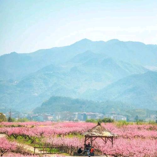 亿万星辰不及你