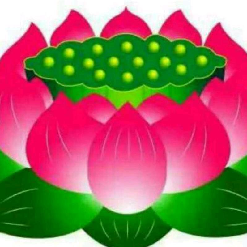 春暖花开。