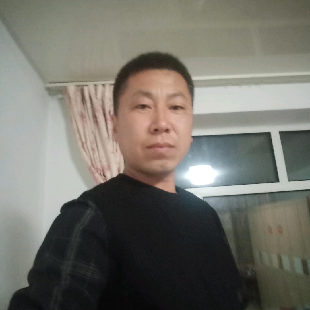 沙漠骆驼